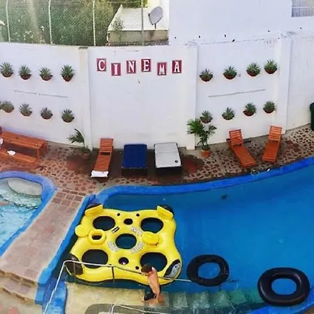 Drop Bear Hostel